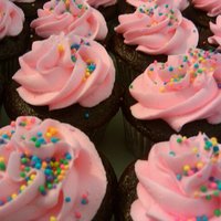 Pink Party Cupcakes 