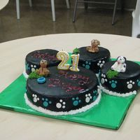 Dog Paw Cake This was for a friends birthday, yes she is a big time dog lover. . All decorations are MMF all of the cakes with the exception of the (top...