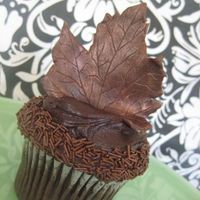 Fall Cupcakes 