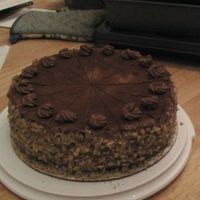 Chocolate Cake Chocolate Cake