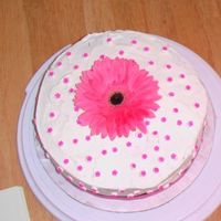 Gerber Daisy Cake Gerber Daisy Cake