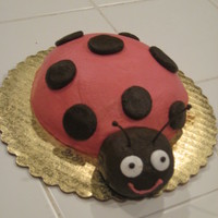 Pink And Brown Ladybug 