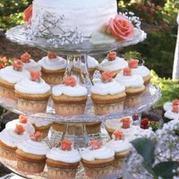 Small Cake And Cupcakes Marzipan Roses