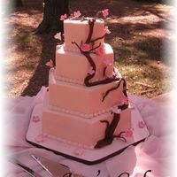 Cherry Blossoms Iced cake with non-crusting buttercream. Blossoms made from fondant. Used tootsie rolls for the tree branches.
