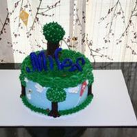 Miles' Cake Made for my nephew - all decorations are gum paste/fondant except for the tree, which is modeling chocolate. Cake is three layers, white...