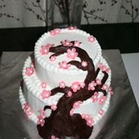 My Birthday Cake! I made this for my birthday! No one wanted to make me a cake, they threw me a party but refused to make a cake! Anyway, bottom two 8 inches...