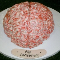 Brain Cake 