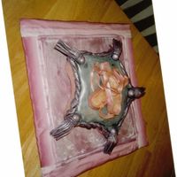 Ballet Slippers On Pillow This is my 3rd. Fondant Cake. A Chocolate Bourbon w/ Chocolate Ganache covering and then covered with Fondant. The Slippers are: Gumpaste...