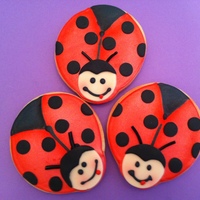 Lady Bugs 