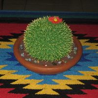 Cactus Cake This cake was modeled after a design by Collette Peters. It is a barrel cactus cake. Margarita Cake (recipe CC) with lime mousse filling,...