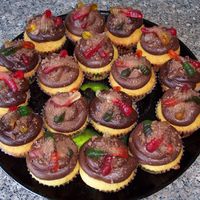 Dirt And Worms Made these for my preschool class. Vanilla cupcakes with chocolate cream frosting, two gummy worms and crushed chocolate graham crakers....