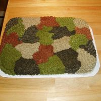 Camoflauge Cake Chocolate cake with chocolate BC crumb coat and BC icing. This was my first special order cake!