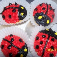 Mini Lady Bug Cakes I used the wilton mini egg cake pan. This is buttercream icing.