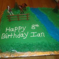 Horse Birthday Cake White cake with b/c icing. This was a fun cake to do.