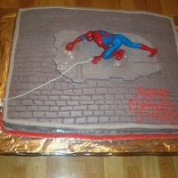 Spiderman Cake White cake with b/c icing. This was a fun cake to make.