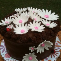 Chocolate Cake With Daisies And Ladybug 