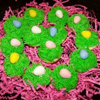 Bite Size Easter Cupcakes I made these to welcome our new neighbors to the neigborhood.