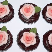 Cupcakes I made 24 of these GF tripple choc cupcakes for hubby's work for Easter.