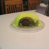 Hobbit Hill My first effort with fondant for my LOTR obsessed husband!