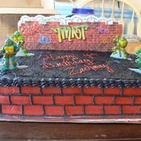 Tmnt I made this cake for my son's 4th birthday. The figures and wall were purchased online at a party supply store. The gravel is black...