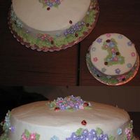 Marissa's 1St Birthday 