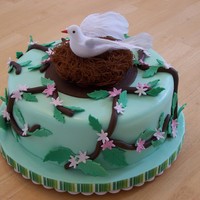 Dove Cake 10 inch round cake covered in fondant with fondant accents. Nest is made from rice noodles. Birthday cake for a relative who collects doves...
