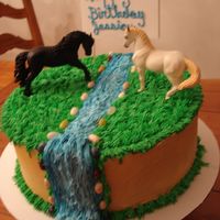 Wild Horses Birthday cake for a little girl who loves horses
