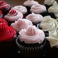Mini Cuppies These are mini chocolate cupcakes that I made for a fundraiser at my niece's school. They were a hit. The red and pink ones are iced...