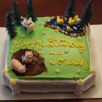 Down On The Farm This cake was a lot of fun... The cake is iced in buttercream and the mud/water hole are made from tinted piping gel. The animals are all...