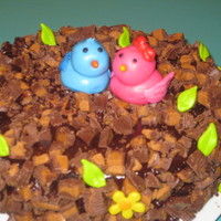 Love Birds I made this cake for my 7th wedding anniversary. the 2 birds are made out of mmf. the cake is covered in peanut butter cup w/ a choco....