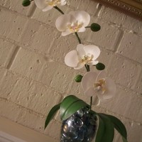 Orchids the finish prodruct this are my first moth orchids pretty happy with the results, : )50fondant/50 gumpaste