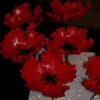 Red Flowers I just finished this flowers 50/50 fondant gumpaste, I'll be using them on a cake next week