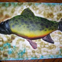 Trout Cake I made this cake for my son's birthday