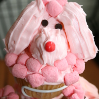 Pink Poodle Cupcakes I saw these pink poodle cupcakes online somewhere, but couldn't find pink Circus peanuts for the ears so I covered the orange Circus...