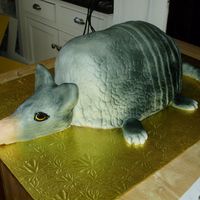Armadillo Cake This was a red velvet armadillo cake.RKT head and tail.