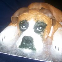 Boxer Puppy this was a grooms cake decorated all with butter cream except for the ears which are fondant.