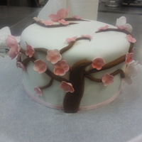Cherry Blossom My first cherry blossom cake, it was fun to make and I learned a lot! TFL