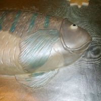 Fish Cake My take on Colette Peters Fish Cake. Thank you for all the inspiration and help.