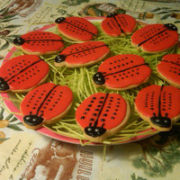 Lady Bugs Lady Bug Cookies TFL