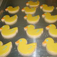 Ducky.jpg 