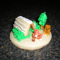 Campou Cookie Cookie done for my sons preschool it was for campout day, a little messy but there for 3 and 4yr olds, (they just lick the icing anyway!)...