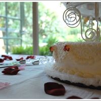 My Son's Wedding Cake, Another View 