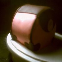 Mom's Purse (Side View) 