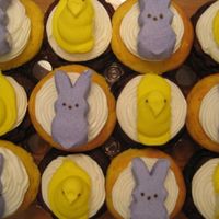 Peeps!! Cake Mix Doctor yellow and chocolate cupcakes with canned frosting (ACK I know but I was short on time) and Peeps!!