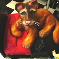 Cougar Cougar made from Rice cereal sitting on bed covered in Fondant. Man made from gumpaste.