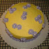 Yello & Purple Daisies 