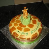 Giraffe Cake My nephew's 1st birthday cake. Idea taken from Terri_A's cake on here - thanks :-) This is my favourite cake I've made so...