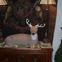 Deer Groom's Cake 