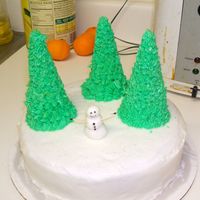 Winter Cake Snowman and trees- winter cake