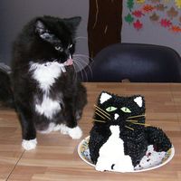 Mimi Cake This cake was made to look like our work cat (see kitty sitting beside the cake). The cake was a red velvet cake, so when you cut it it was...